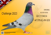 GB 22 V04114